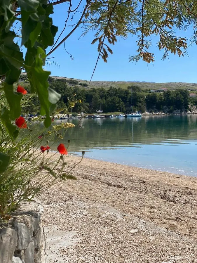 Villa Cvita Povljana Croatia
