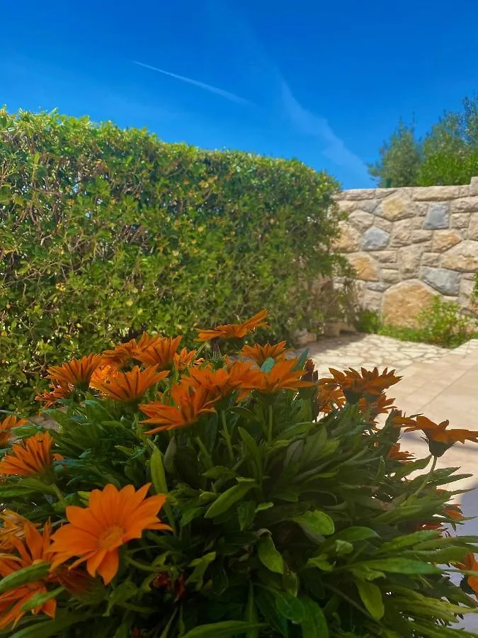 Villa Cvita Povljana Croatia