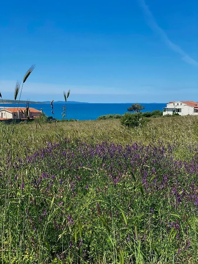 Villa Cvita Povljana 0*,  Croatia