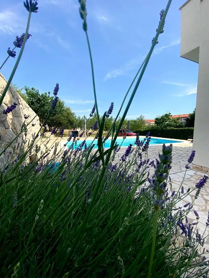 Villa Cvita Povljana Croatia